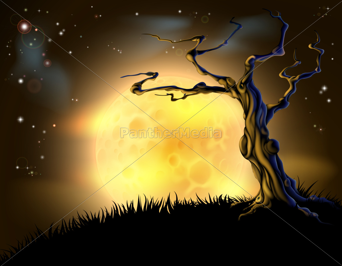 Orange Halloween Moon Tree Background Stock Image Panthermedia Stock Agency