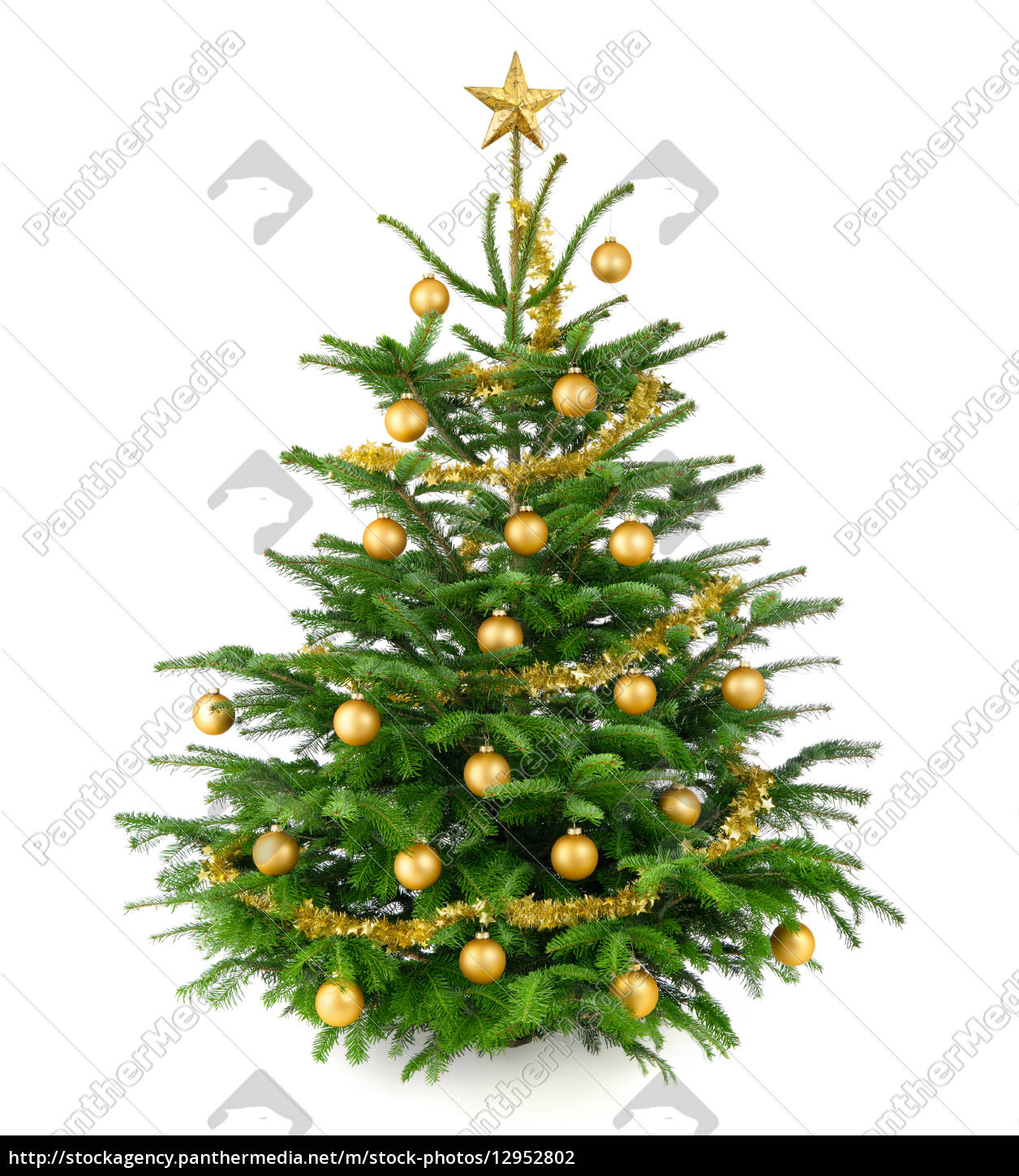 Beautiful Gold Decorated Christmas Tree Stock Image 12952802