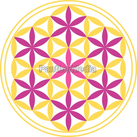 Flower Of Life Free Vector | Best Flower Site