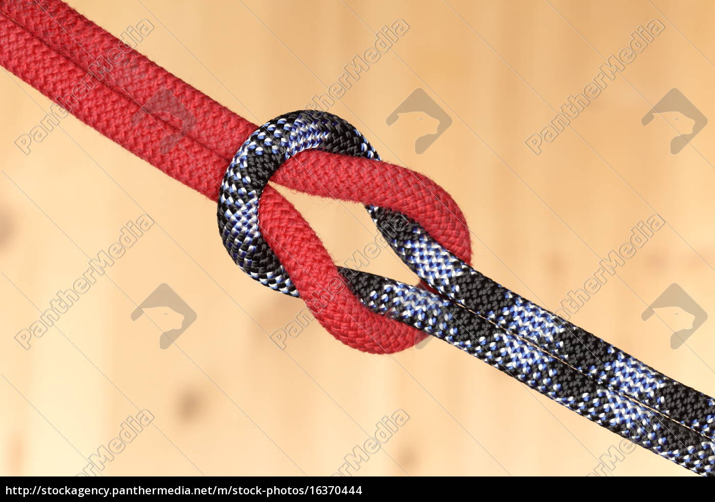 Carabiner and knot from a climbing rope. — Stock Photo
