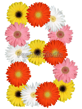 Letter B Alphabet From Flowers Freeplate On White - Stock Image ...