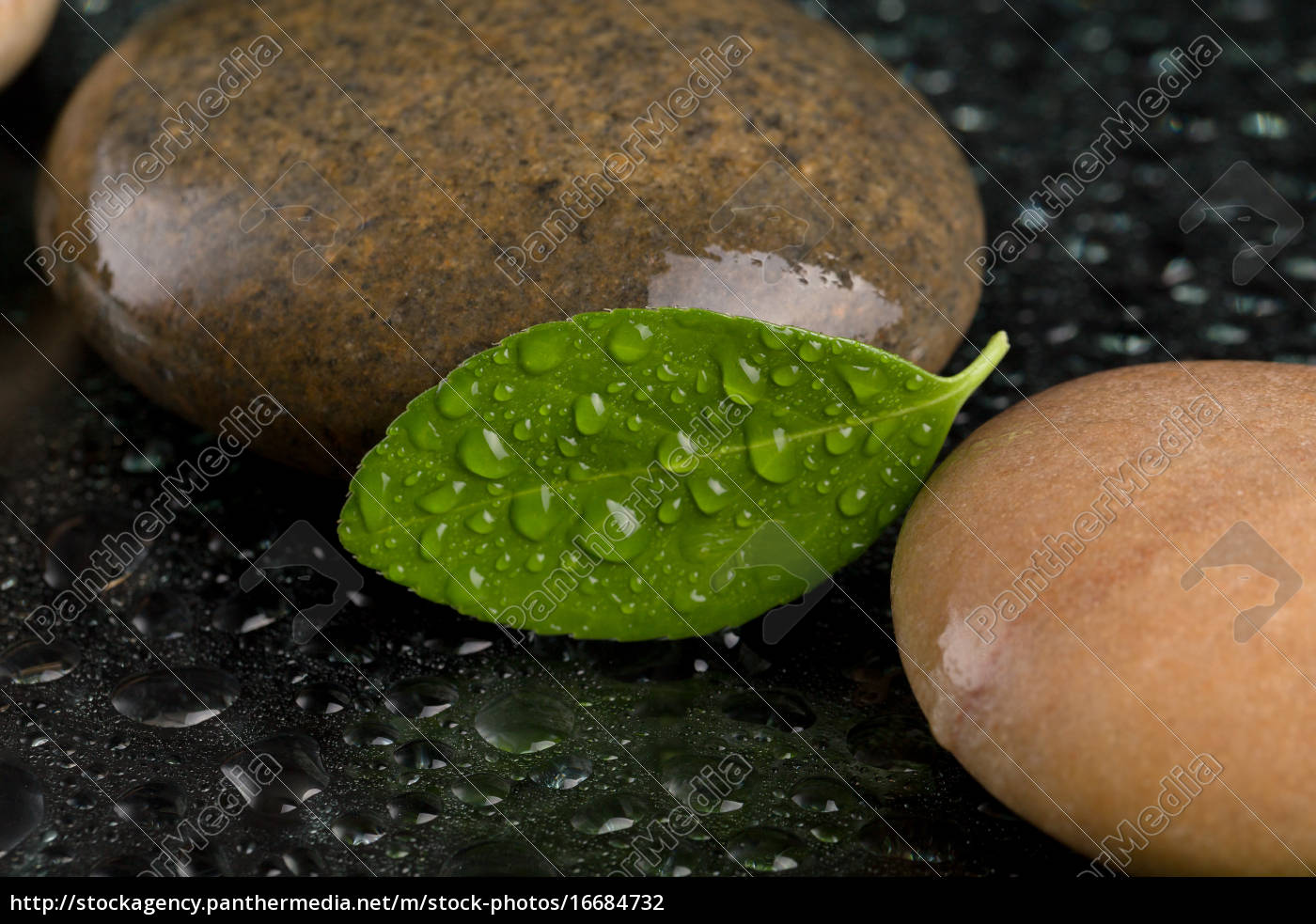 Zen Stones On Black With Water Drops Royalty Free Photo Panthermedia Stock Agency