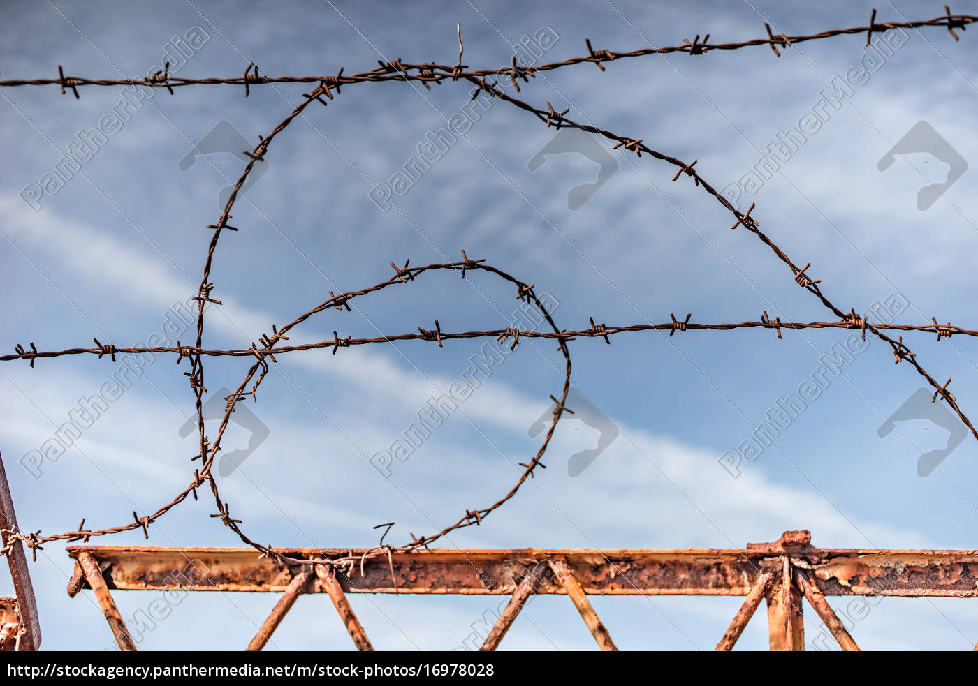 old barbed wire