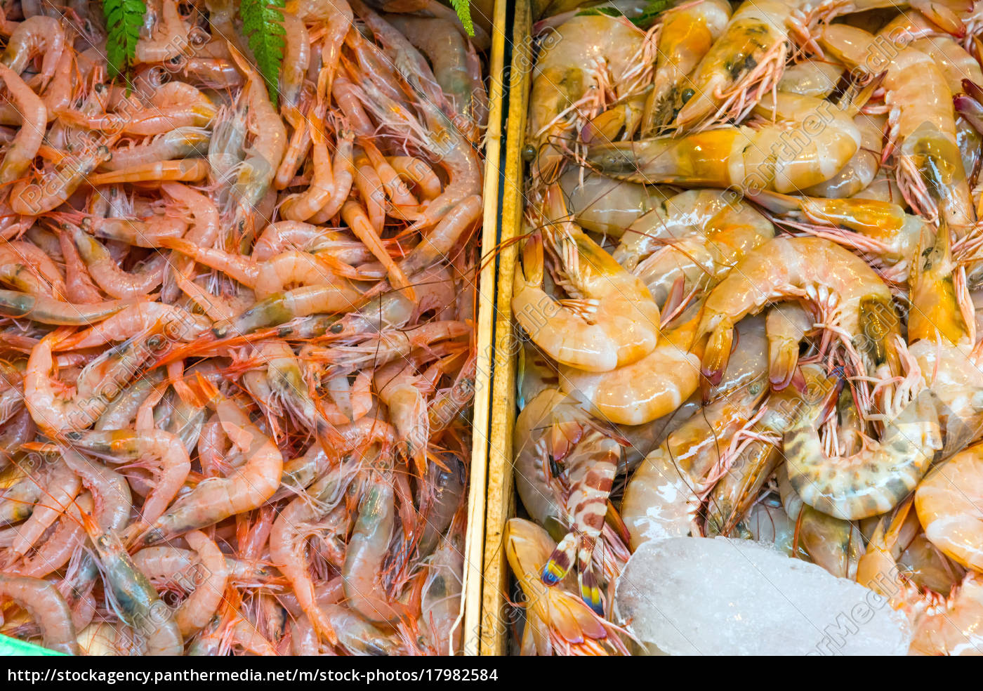 Prans at the famous Boqueria market in Barcelona - Royalty free photo  #17982584 | PantherMedia Stock Agency