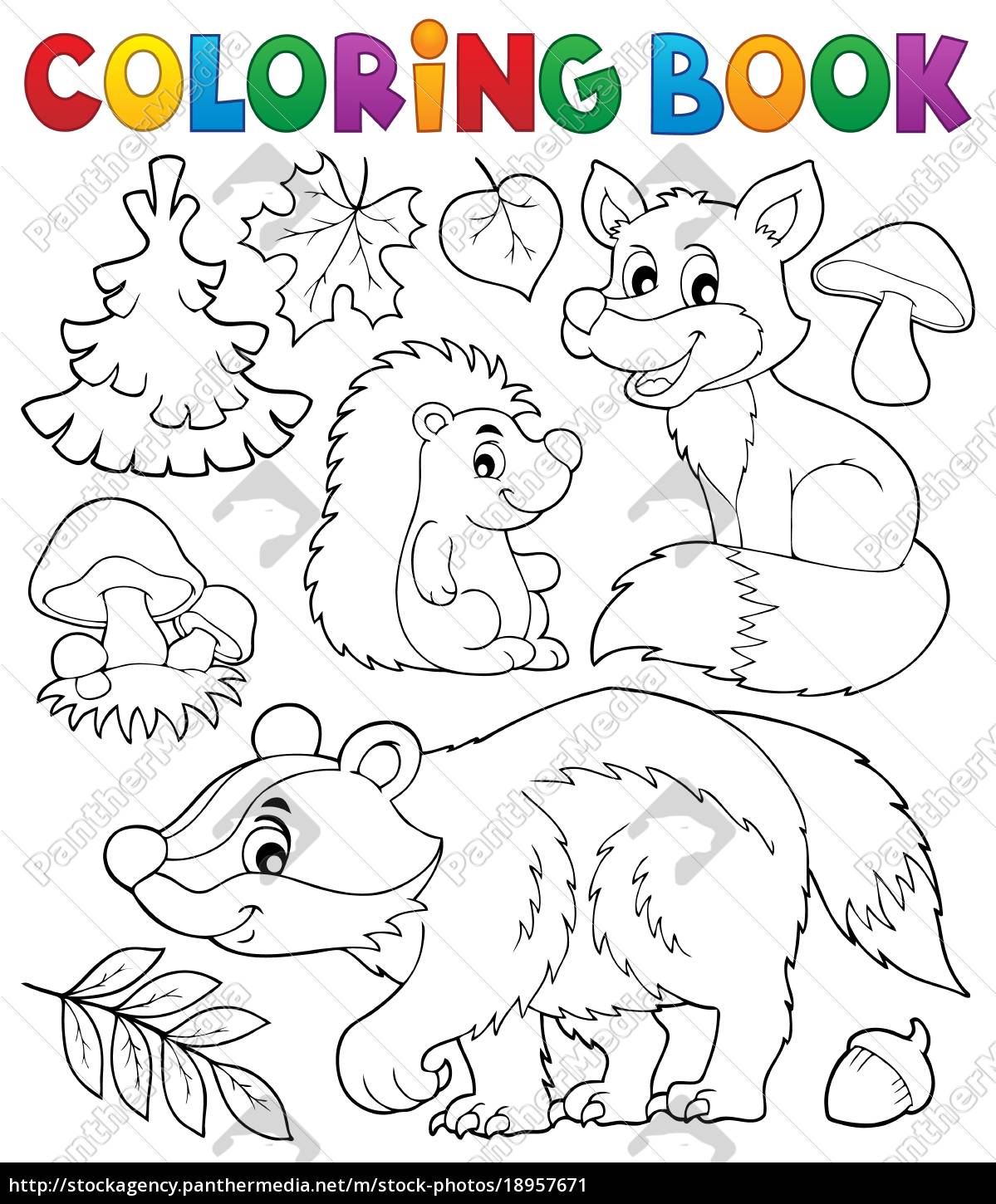 Download Coloring Book Forest Wildlife Theme 1 Stock Photo 18957671 Panthermedia Stock Agency