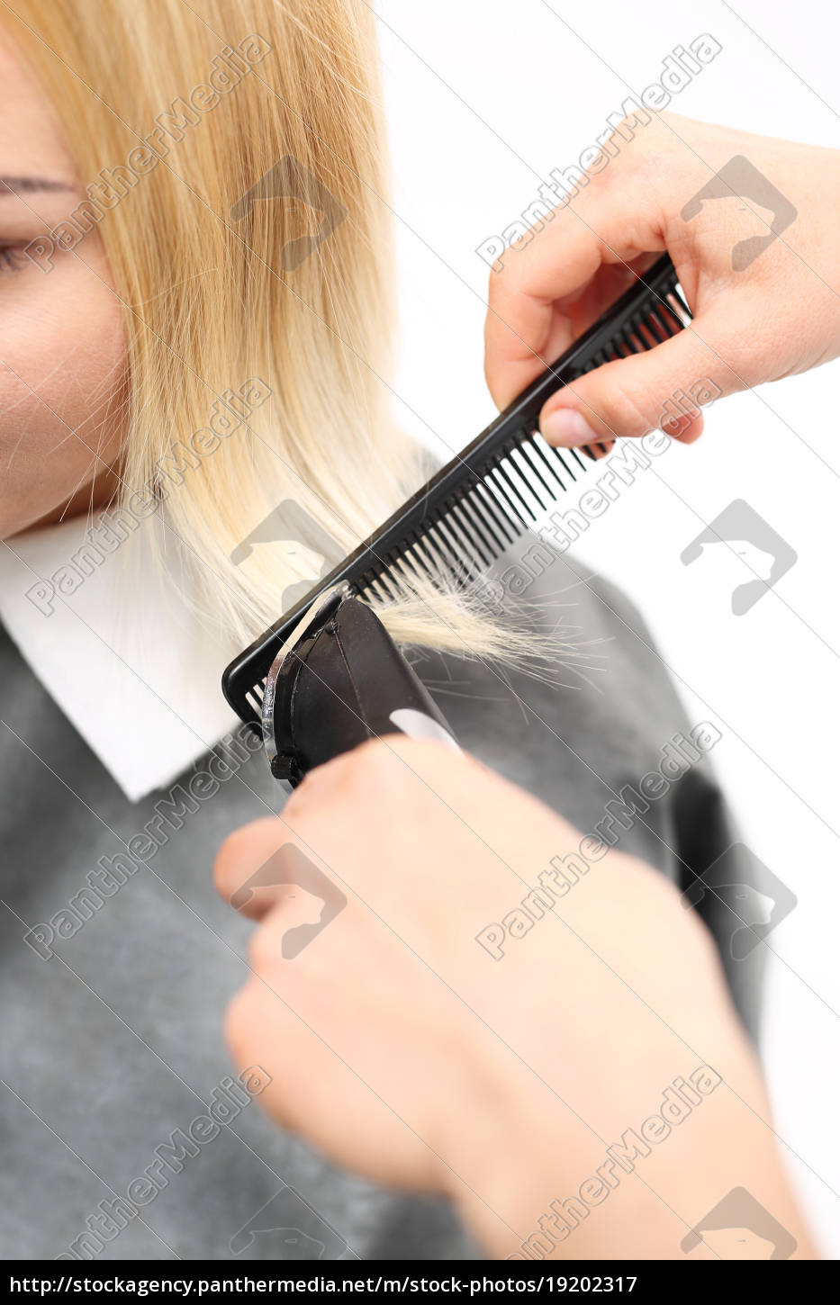 cutting a woman's hair with clippers