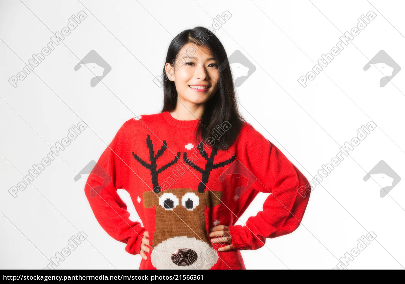 punjabi christmas sweater