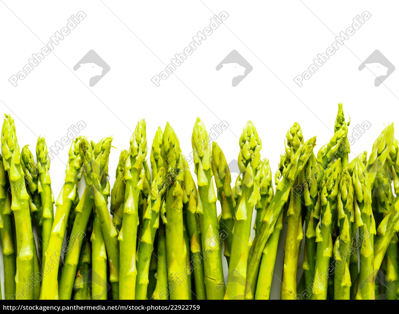 Fresh Green Asparagus Pattern Isolated On White Stock Photo 22922759 Panthermedia Stock Agency,Hooded Scarf Crochet Pattern