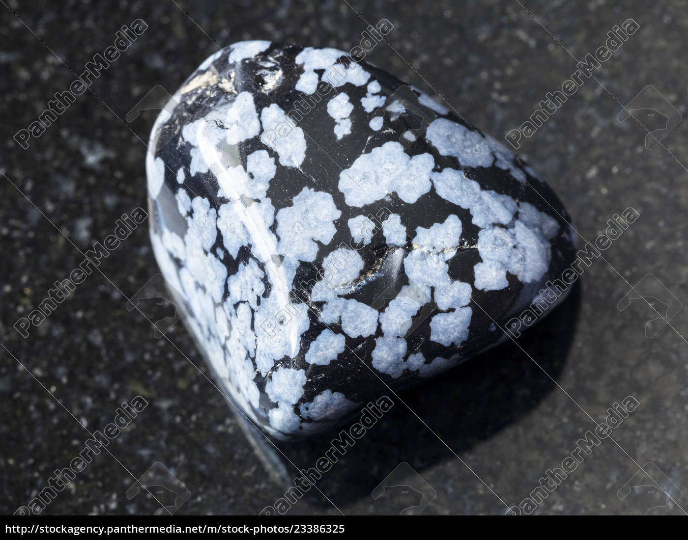 Tumbled Snowflake Obsidian Gem Stone On Dark Stock Photo Panthermedia Stock Agency