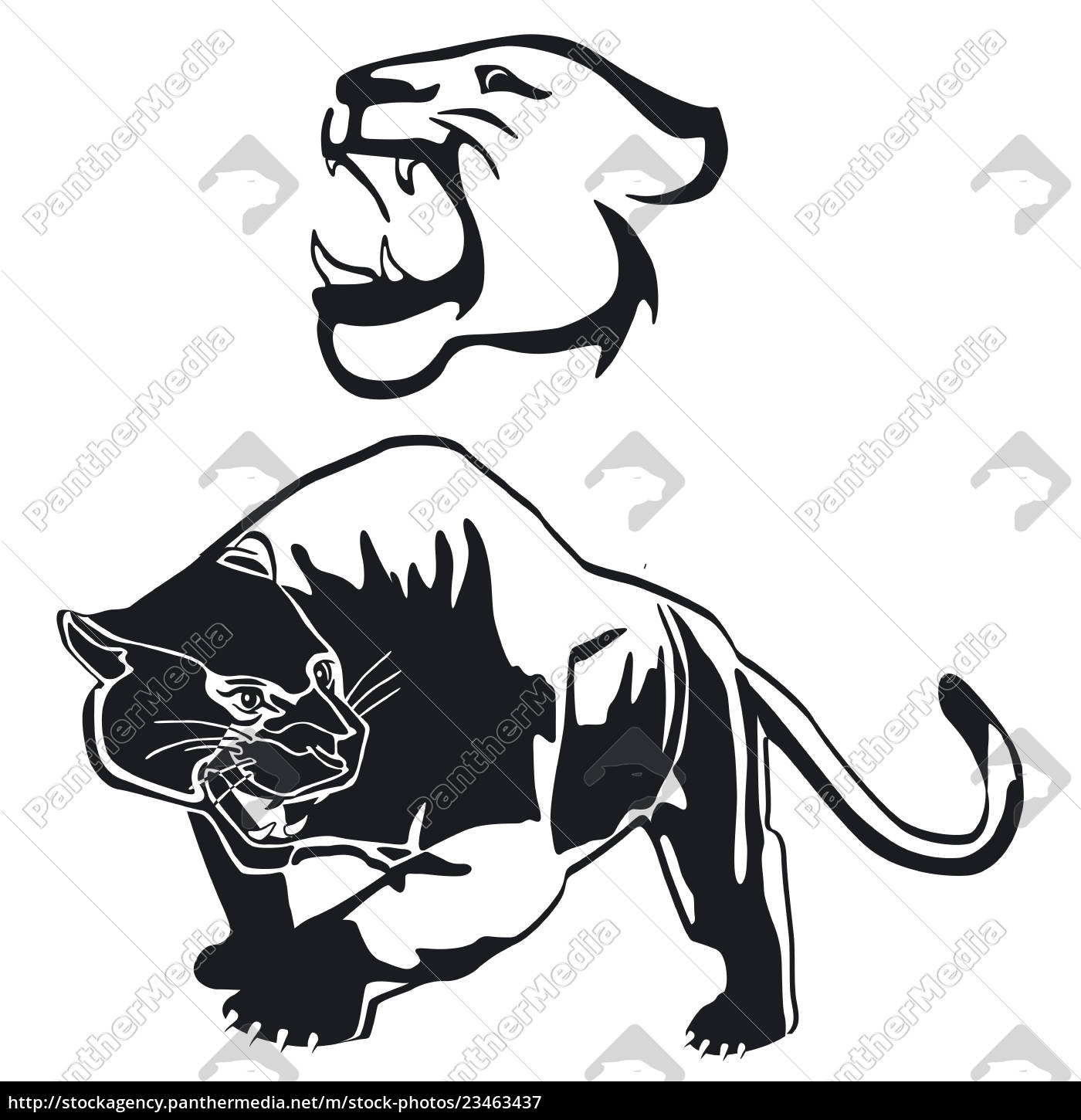 Leopard Panther Graphic Illustration Stock Photo Panthermedia Stock Agency