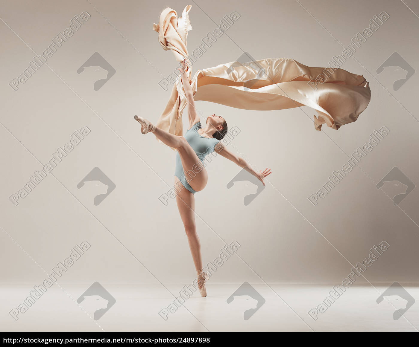 Modern Ballet Dancer Dancing In Full Body On White Stock Image 24897898 Panthermedia Stock Agency