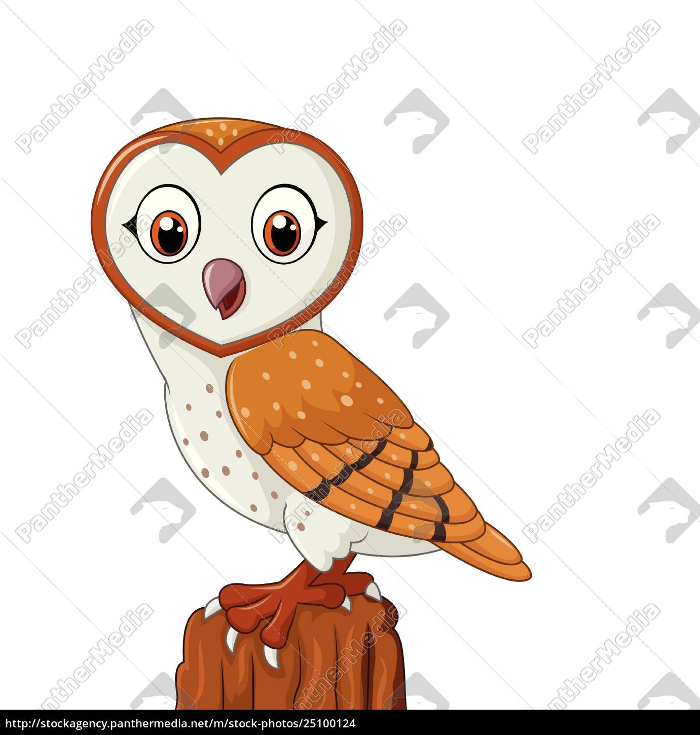 Cartoon Barn Owl Isolated On White Background Royalty Free Photo