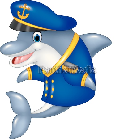 Cartoon funny dolphin wearing captain uniform - Stock image #25101302 |  PantherMedia Stock Agency