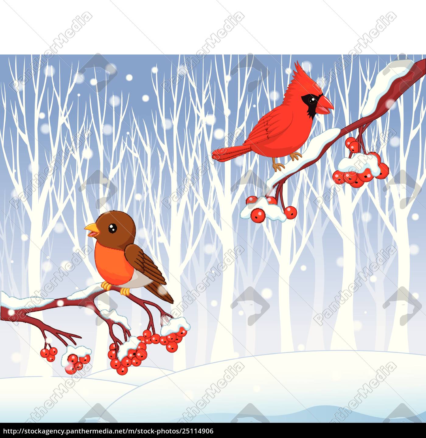 Northern Cardinal Cartoons and Comics - funny pictures from