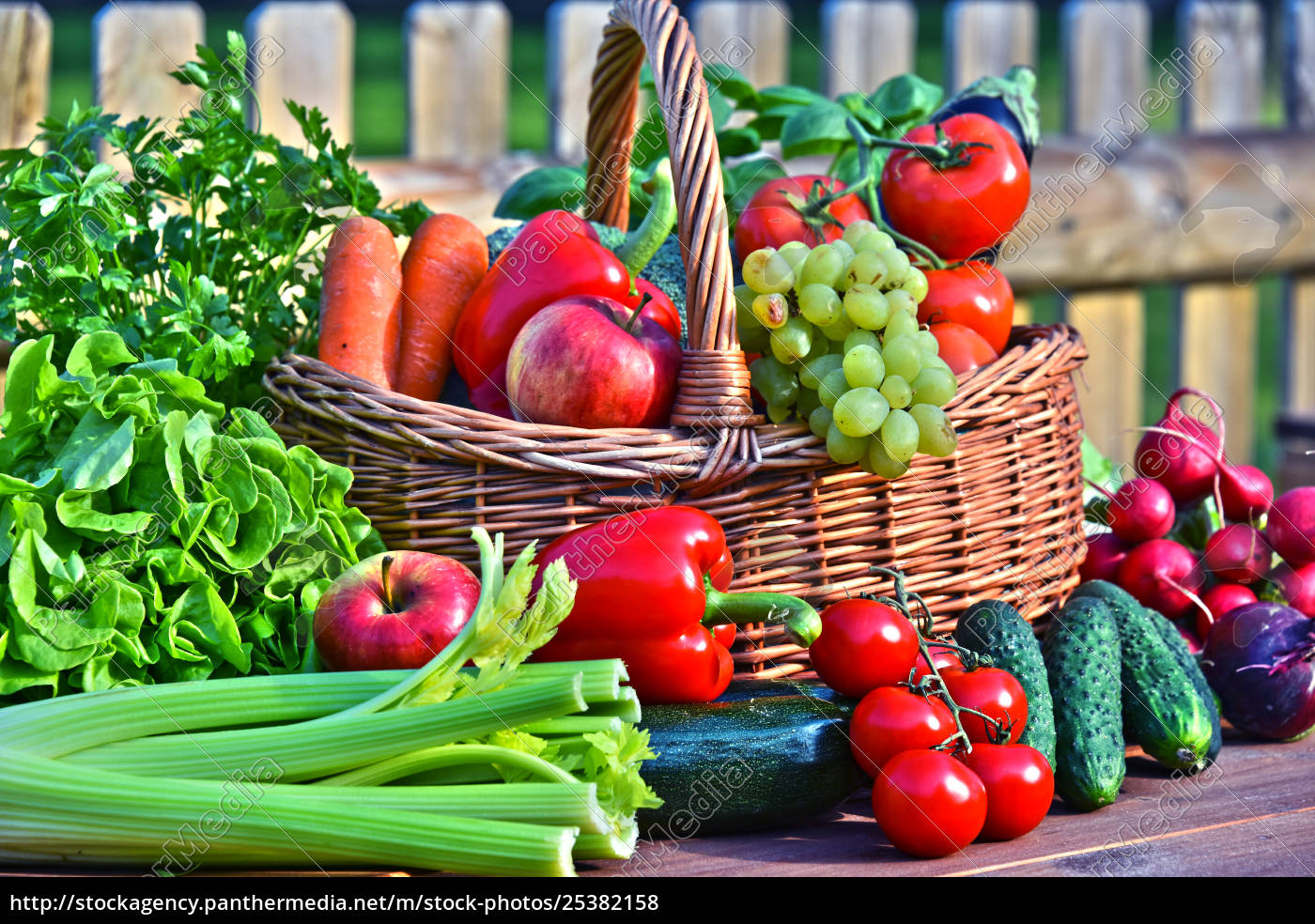 Variety of fresh organic vegetables in 