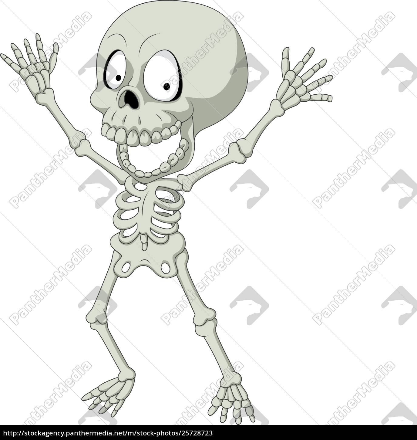 Featured image of post Cartoon Funny Skeleton Pictures : Check out our cartoon skeleton selection for the very best in unique or custom, handmade pieces from our ornaments &amp; accents shops.
