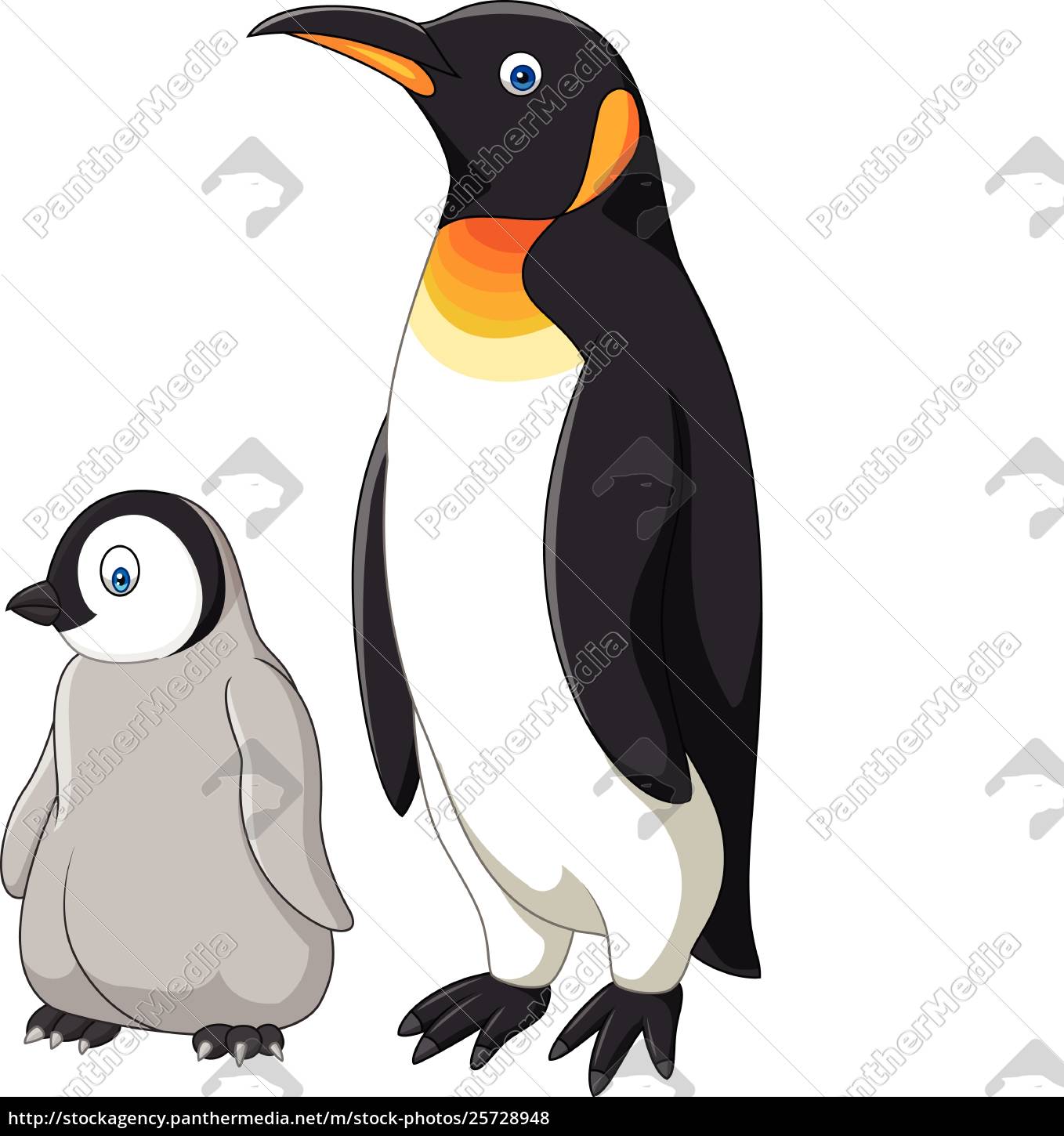 Cartoon Mother And Baby Penguin Isolated On White Royalty Free Photo Panthermedia Stock Agency