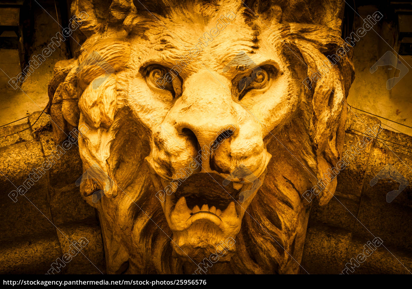 free image of roaring lion