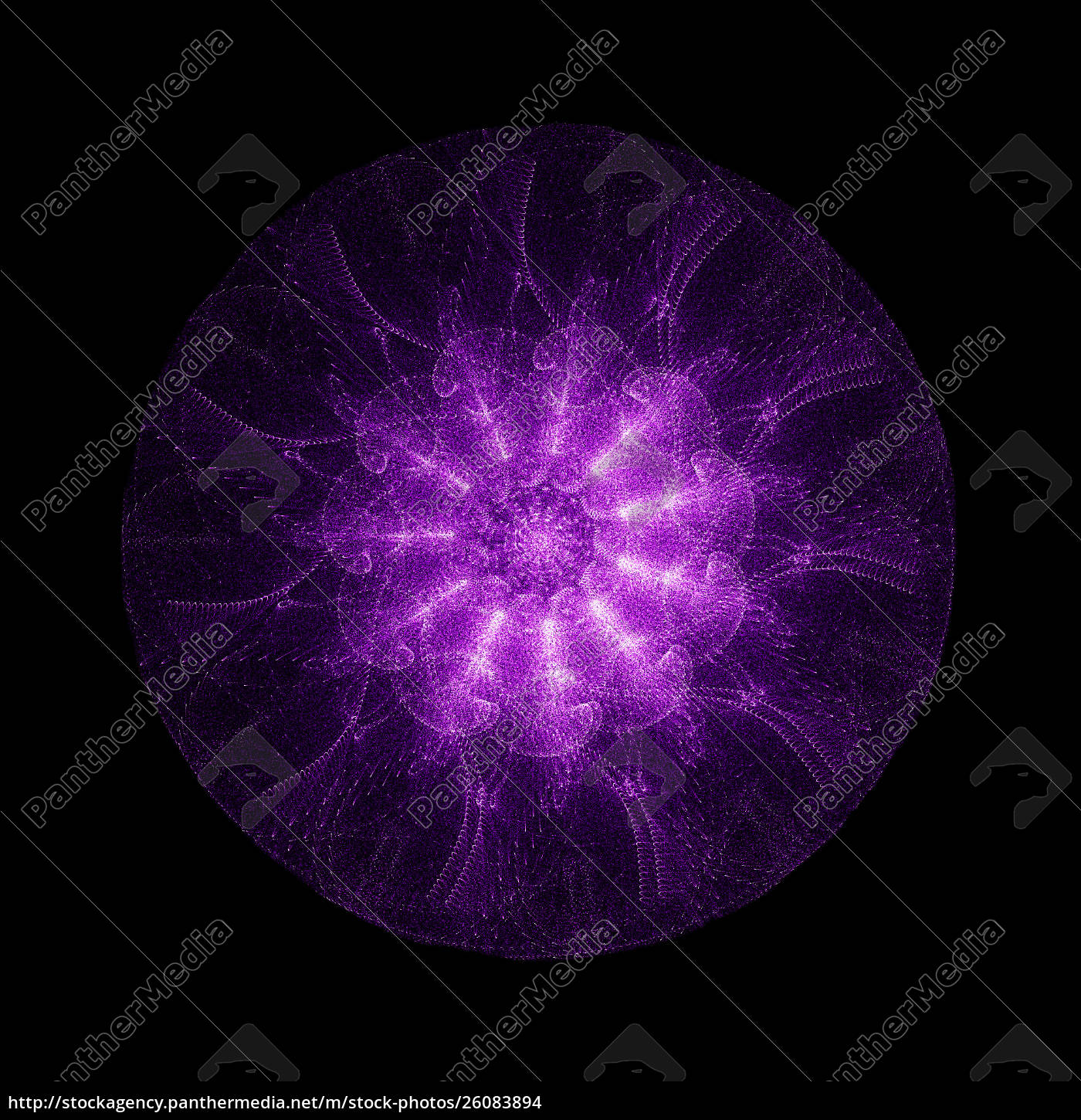 Stock Image 26083894 Abstract Purple Flower Isolated On Black Background
