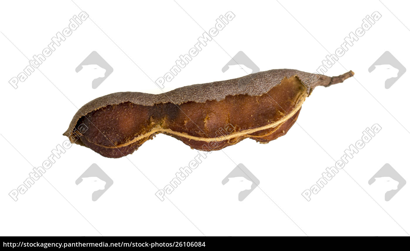 Tamarind Pod Like Raw Fruit Royalty Free Photo Panthermedia Stock Agency