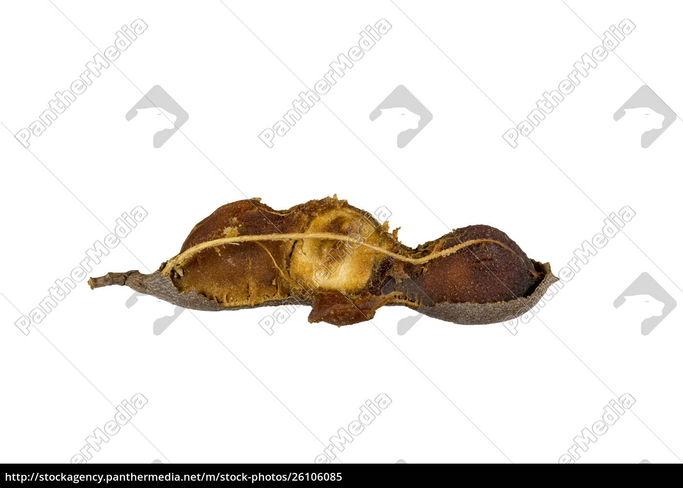 Tamarind Pod Like Raw Fruit Stock Photo Panthermedia Stock Agency