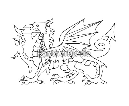 Welsh Dragon Outline - Stock Photo #26162101 | PantherMedia Stock Agency