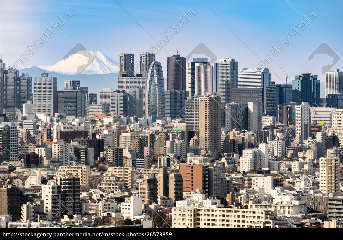 Tokyo Skyline And Mountain Fuji In Japan Royalty Free Image Panthermedia Stock Agency