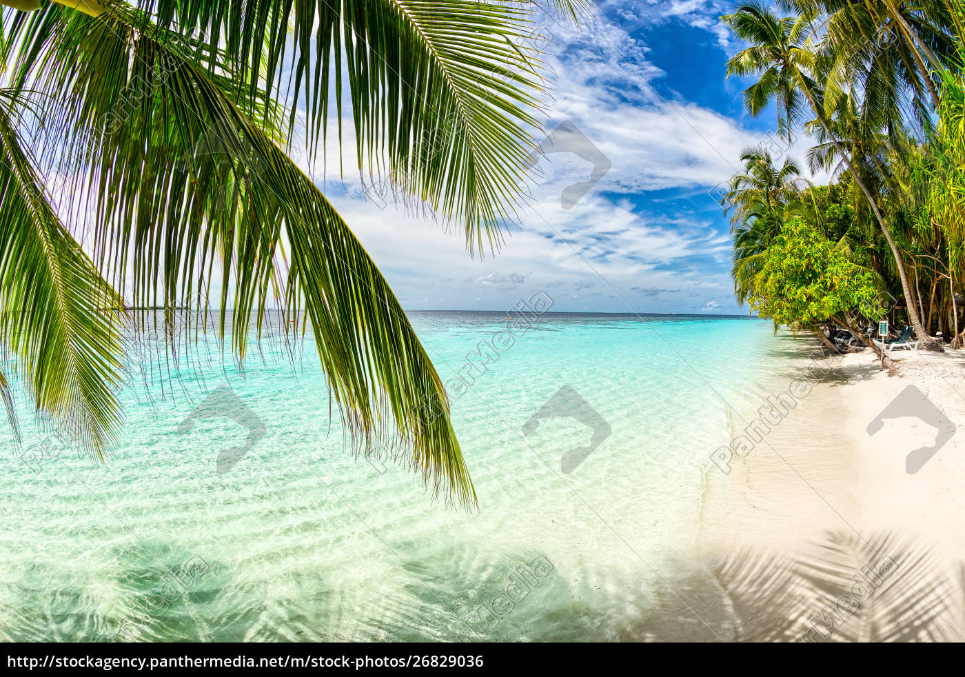 Tropical Paradise Beach White Sand And Coco Palms Royalty Free Photo Panthermedia Stock Agency