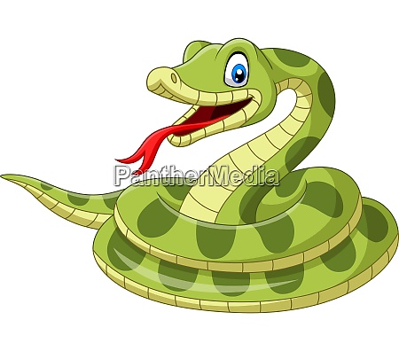 Cartoon green snake on white background - Royalty free photo #28098816 |  PantherMedia Stock Agency