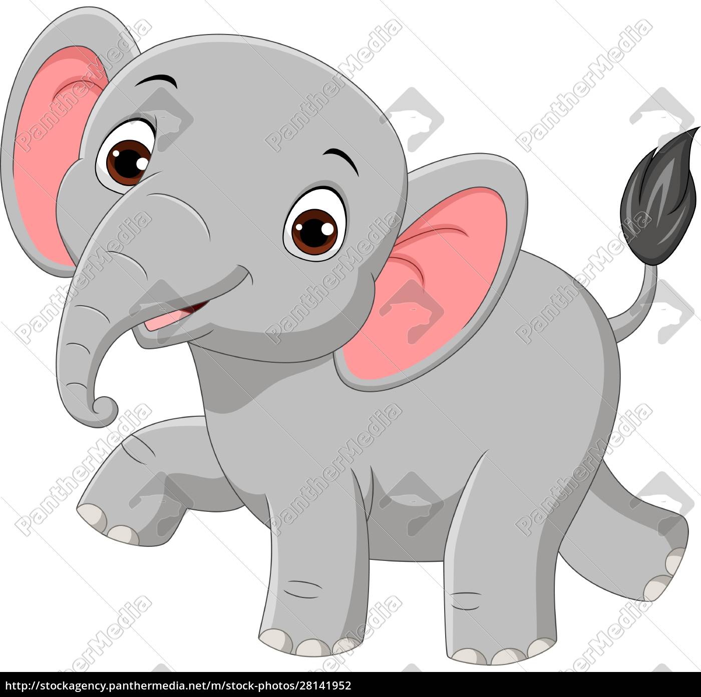 Cute Baby Elephant Isolated On White Background Royalty Free Photo Panthermedia Stock Agency