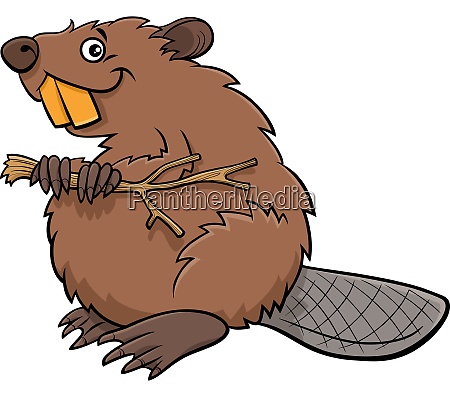cartoon beaver comic animal character - Stock Photo #29018585 |  PantherMedia Stock Agency