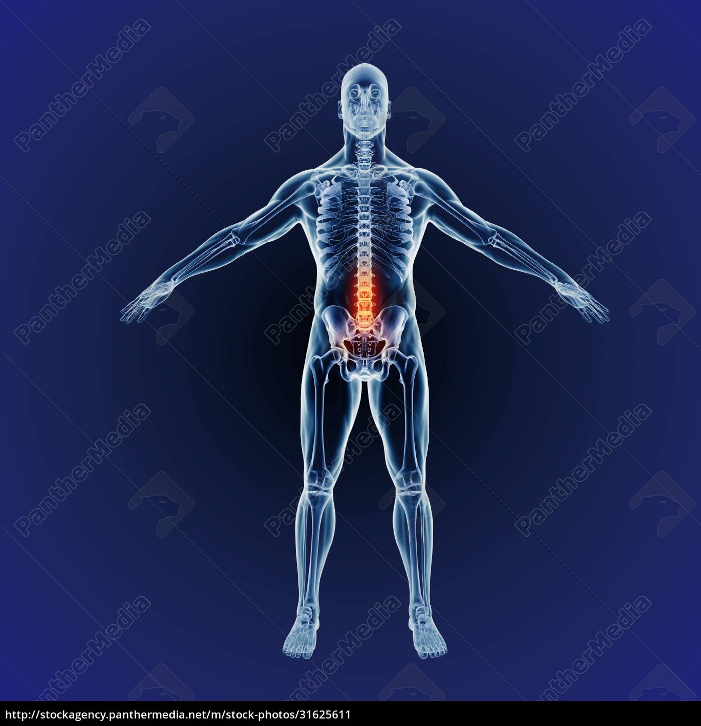 Lower back pain. Facing crippling inflammation and - Stock Photo ...