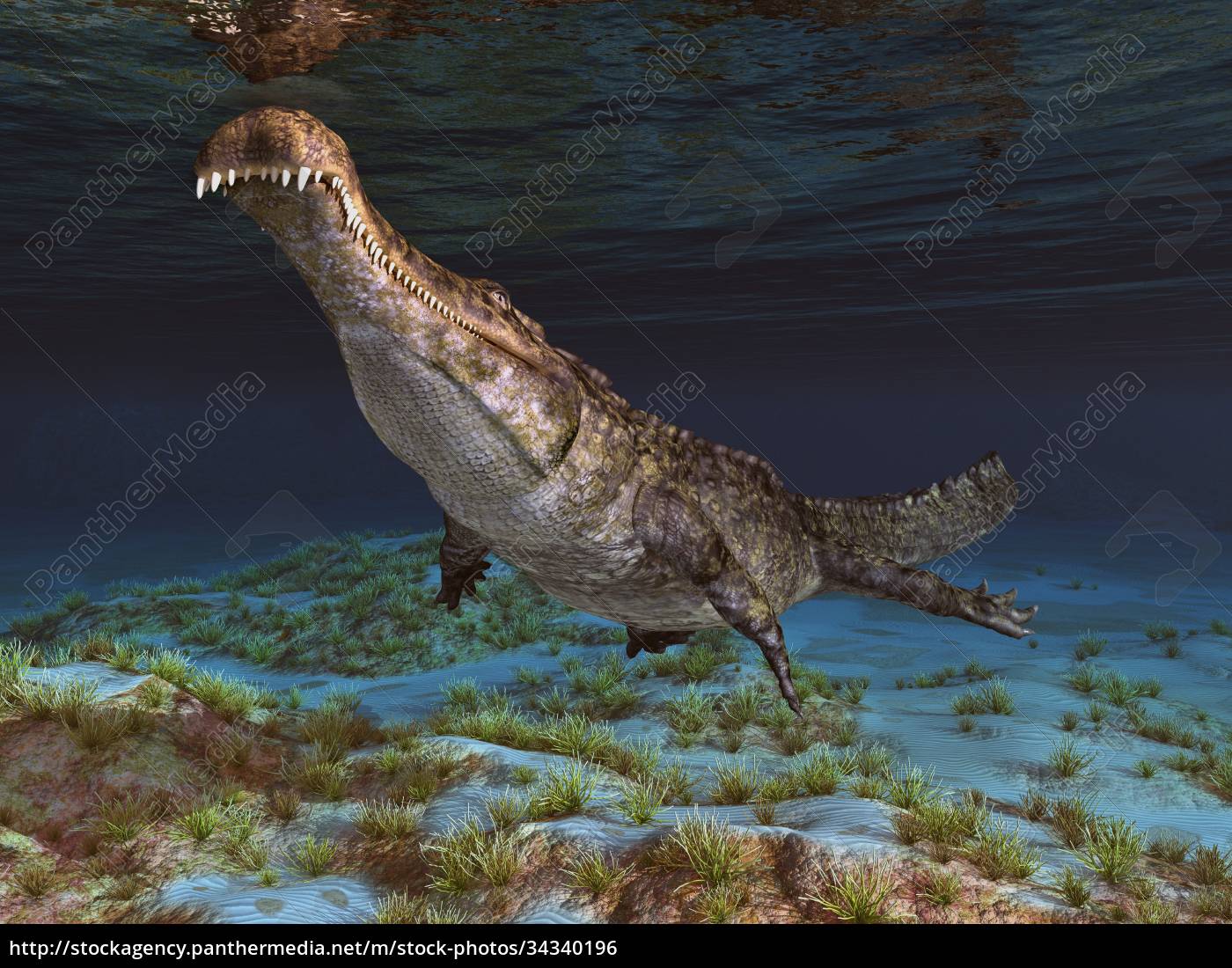 Prehistoric crocodile Sarcosuchus underwater - Royalty free photo ...